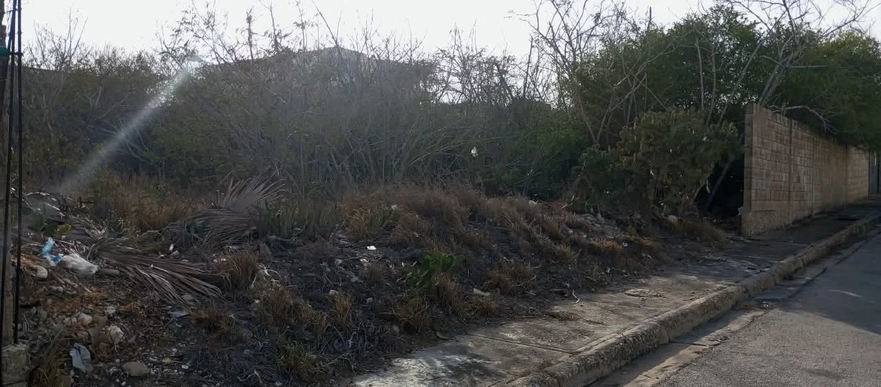 Foto 4 de Lote de terreno en Playa El Angel, Mcipio Maneiro, Edo Nva Esparta